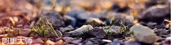 你是人間四月天——阿里大師到海南占領水漆陣地