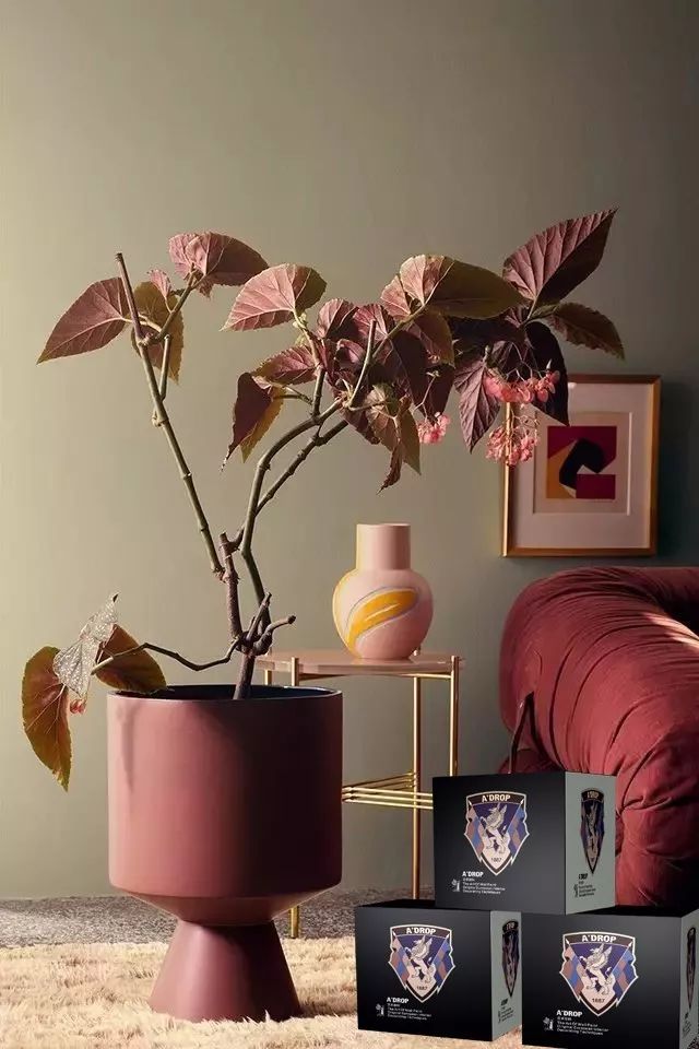 阿里大師喬瓦尼藝術涂料 阿里大師喬瓦尼藝術涂料