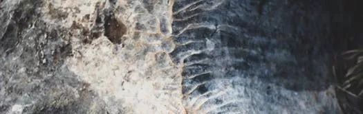 喬瓦尼藝術涂料 喬瓦尼藝術涂料