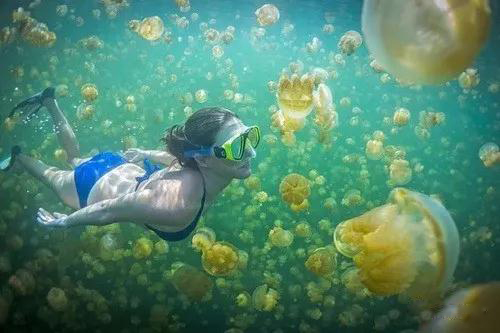 喬瓦尼藝術涂料