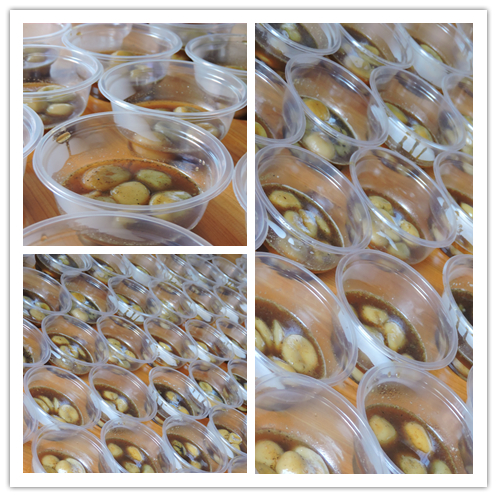 阿里大師水漆 阿里大師水漆